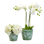 Two's Company Countryside S/2 Hand-Painted Cachepots / Planters