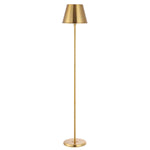 Safavieh Asher Iron Floor Lamp , FLL4094 - Brass