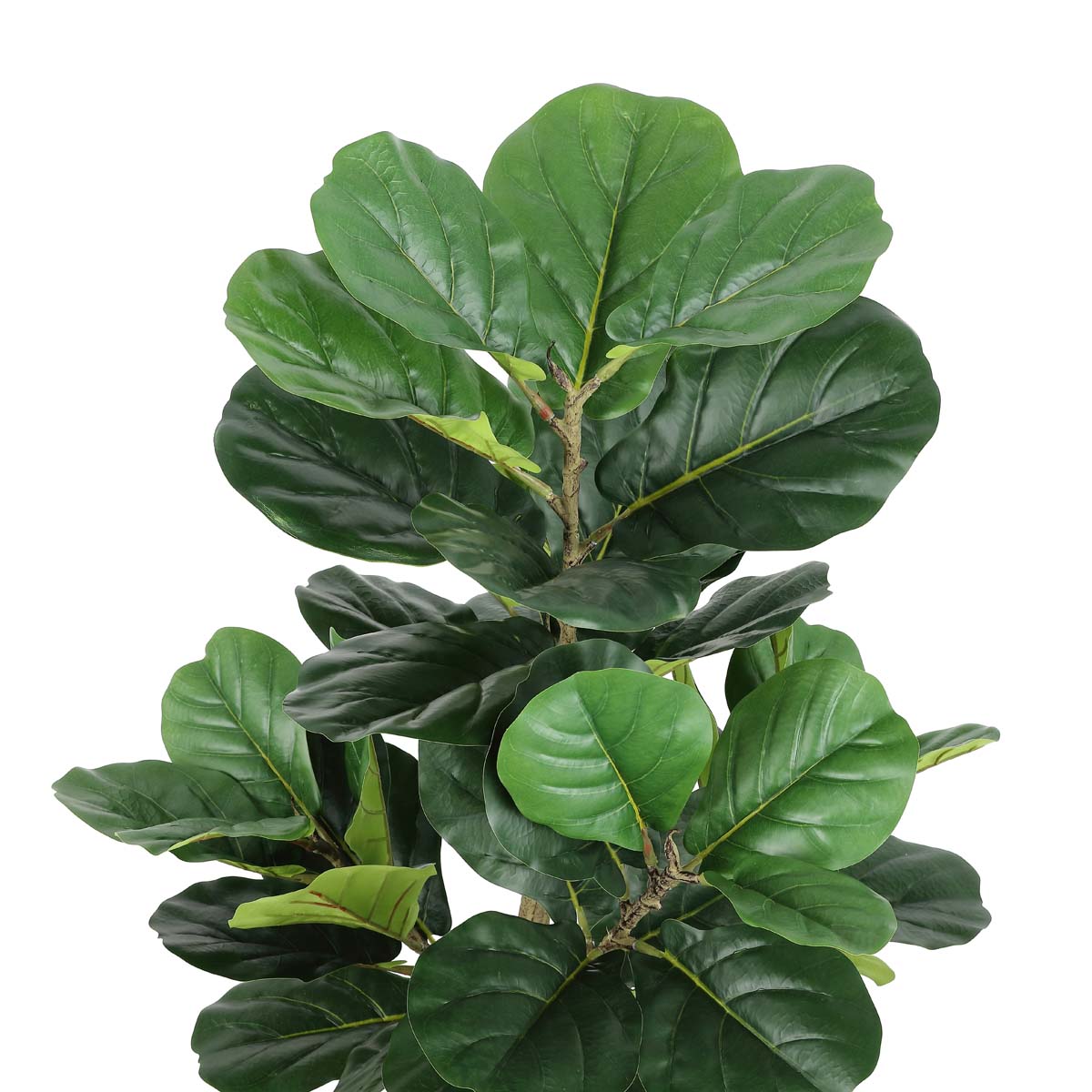 Safavieh Faux Multi Branch Fiddle Leaf Fig 72 Potted Tree , FXP2003