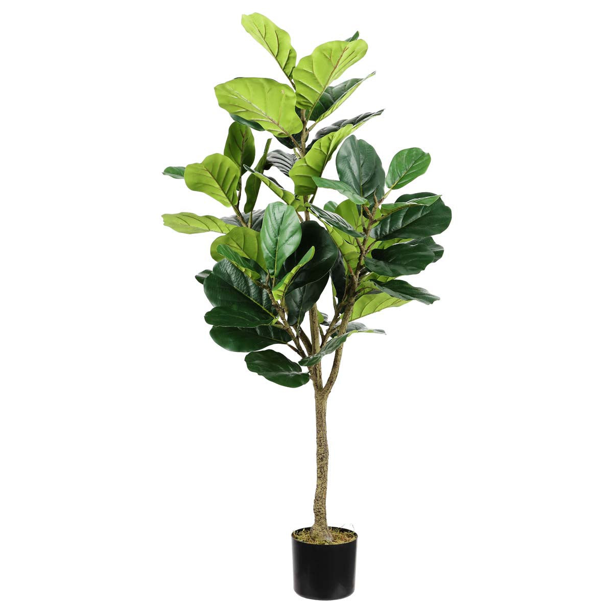 fake fiddle leaf fig branch Faux Multi Branch Fiddle Leaf Fig 72" Potted Tree
