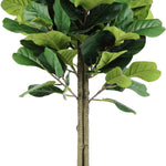 Safavieh Faux Fiddle Leaf Fig 72 Potted Tree , FXP2004