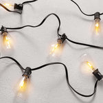 Safavieh Dorcia LED Outdoor String Lights , PLT4043