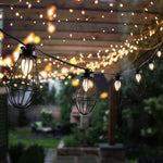 Safavieh Ellina LED Outdoor String Lights , PLT4054