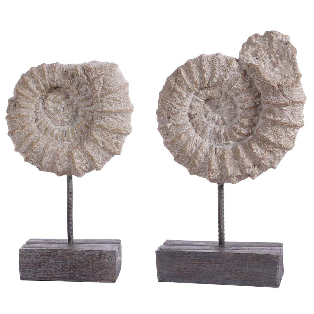 Safavieh Toren Ammonite Shell Table Decor (Set Of 2)