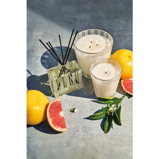 Grapefruit 3-Wick  21.2 oz Candle by Nest New York