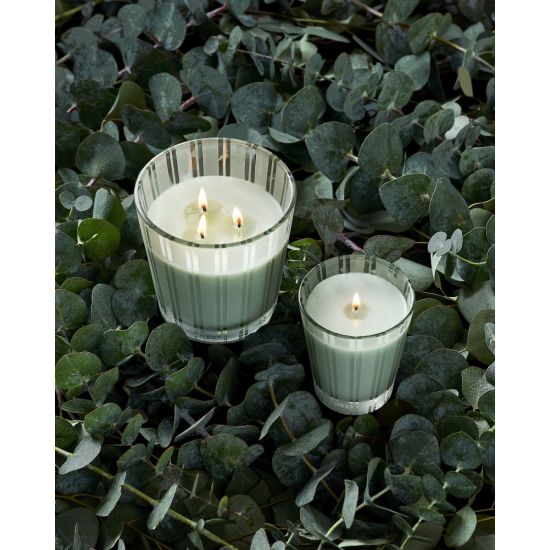 Wild Mint & Eucalyptus 8oz. Candle by Nest New York