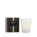 Grapefruit Candle 8oz. Candle by Nest New York