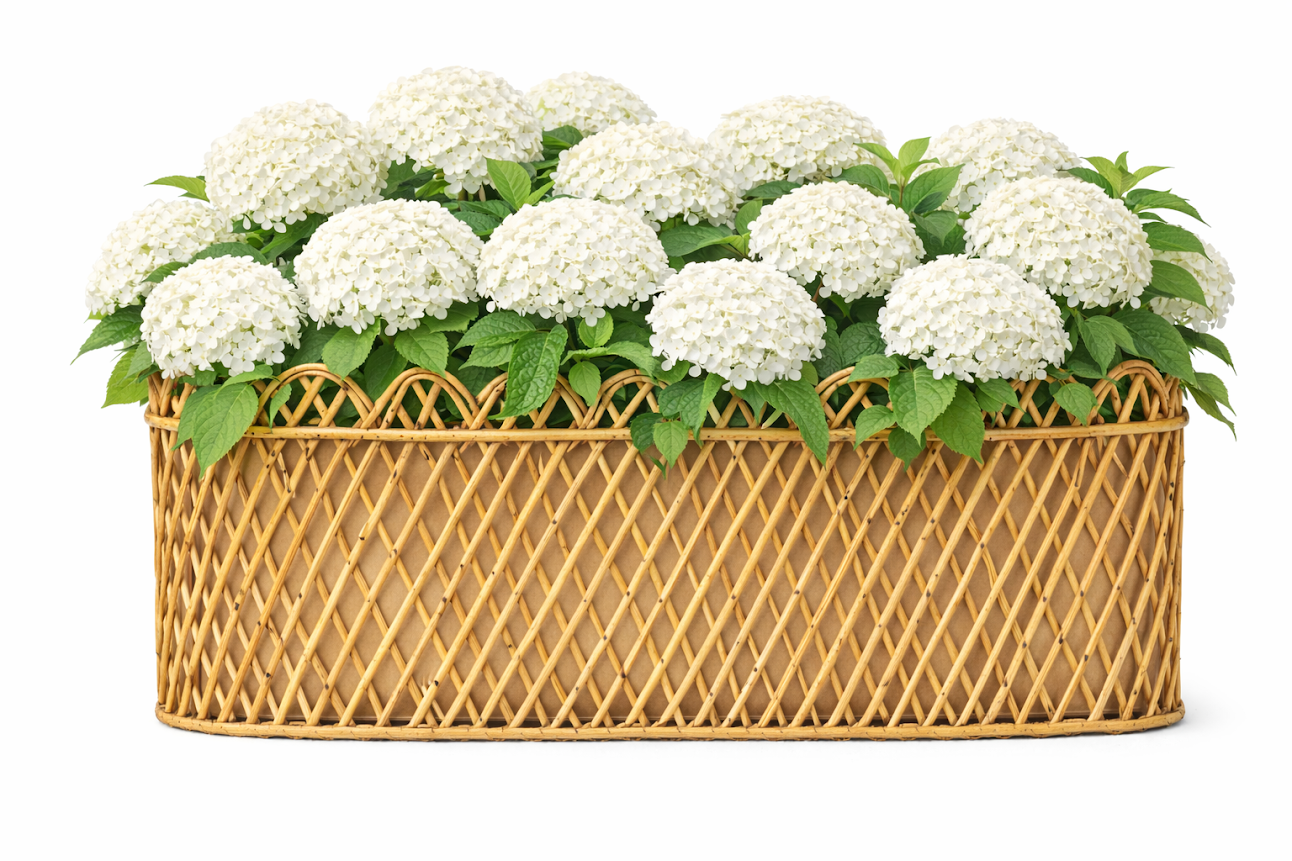 Jumbo Natural Rectangular Rattan Scalloped Planter - Thumbnail 3
