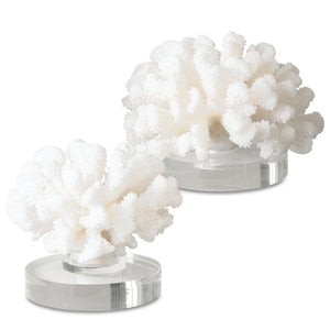 Uttermost Hard Coral Sculptures, S/2