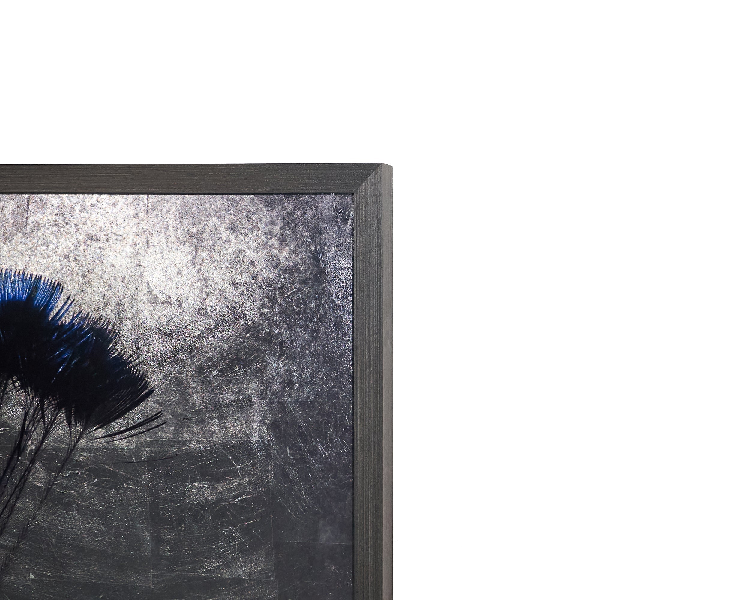 The Peacock - 48" X 72"  Charcoal Frame