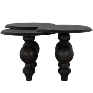 Gabby - Coco Mindi Veneer Unique Coffee Table - SCH-175455