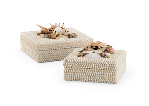 Chelsea House White Shell Boxes (S2) - 384163