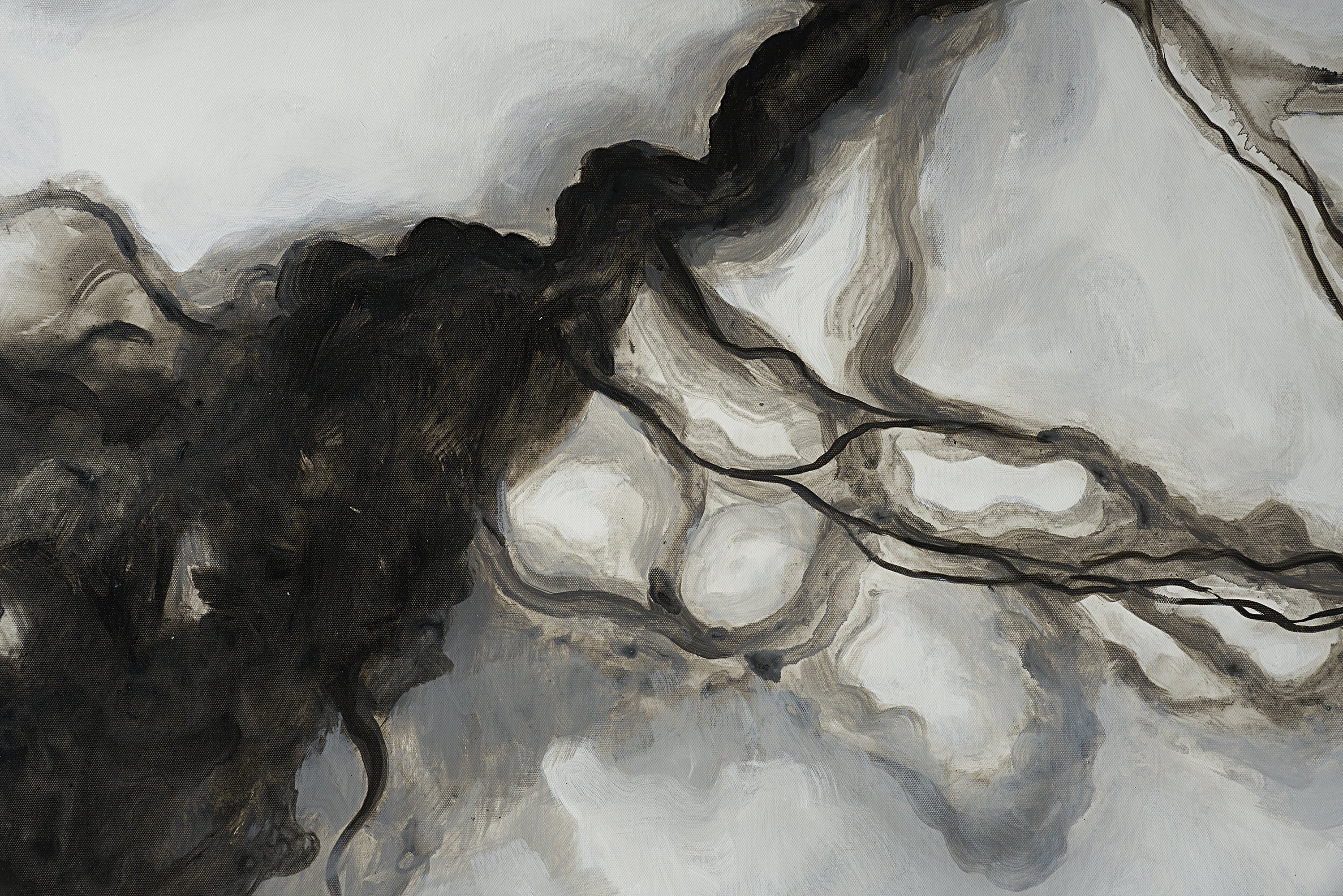 Smoke Screen - 72" X 48"  Black Floater Frame