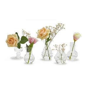 Two's Company Verre Set of 5 Bud Vase