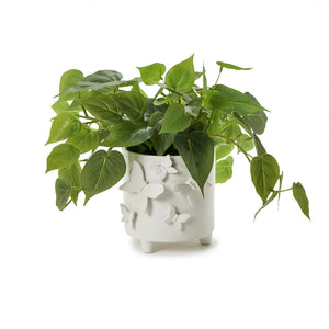 Two's Company Butterfly Footed Cachepot with Sculpted Butterflies