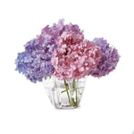 Two's Company Handkerchief Vase