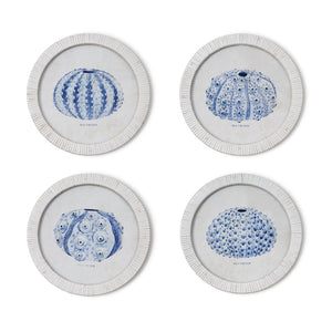 Two's Company Set of 4 Sea Urchin Framed Print Incl 4 Designs