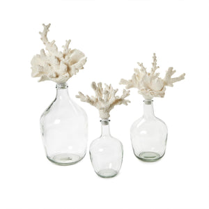 Two's Company Set of 3 Glass Bottle Jars with Coral Stopper - 55065
