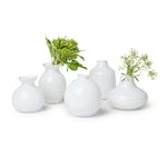 Two's Company Set of 5 Milky White Glass Vases