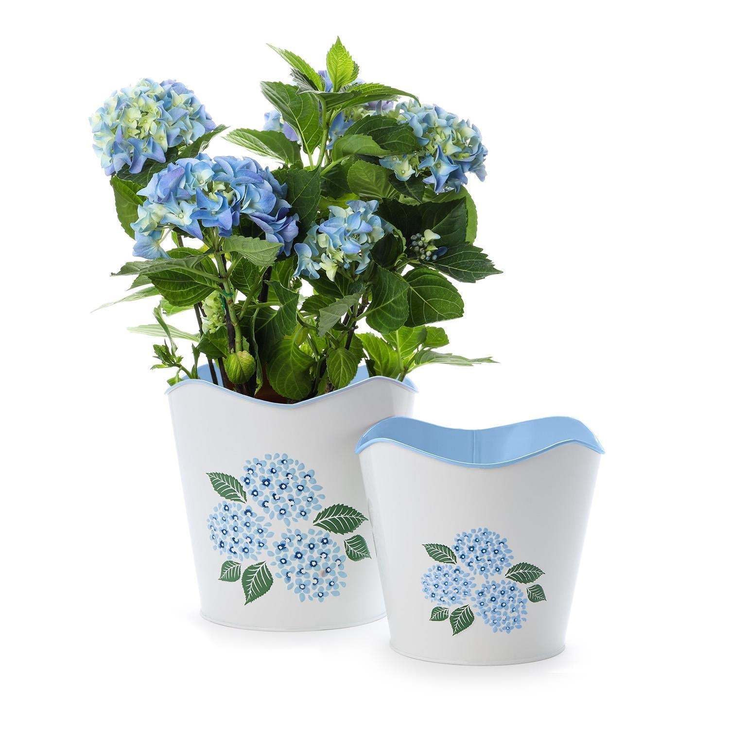 Two's Company Set of 2 Hydrangea Blue Flower Cachepots