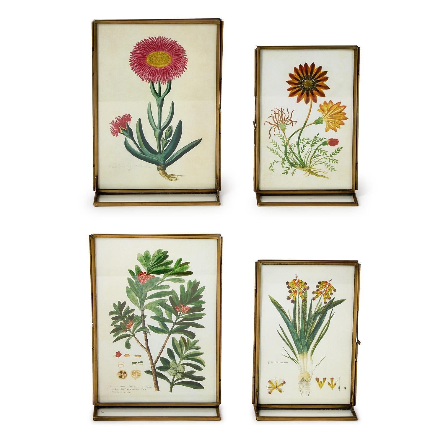 Two's Company S/2 Double Sided Metal Photo Frame