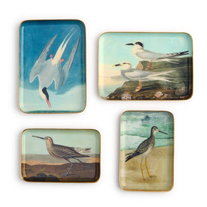 Two's Company Set of 4 Sea Bird Metal Trinket / Desk Trays Incl 4 Designs / 2 Sizes - 55525