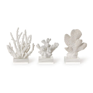 Two's Company Set of 3 White Coral Sculptures on Acrylic Base Includes 3 Designs - 55546
