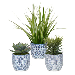 Uttermost Puebla Greenery In Blue & White Pots, S/3