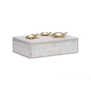 Wildwood Tortoise Family Box - 301293