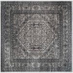 Safavieh Adirondack 108 Rug, Silver, ADR108 - Silver / Black