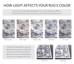 CHARCOAL / IVORY