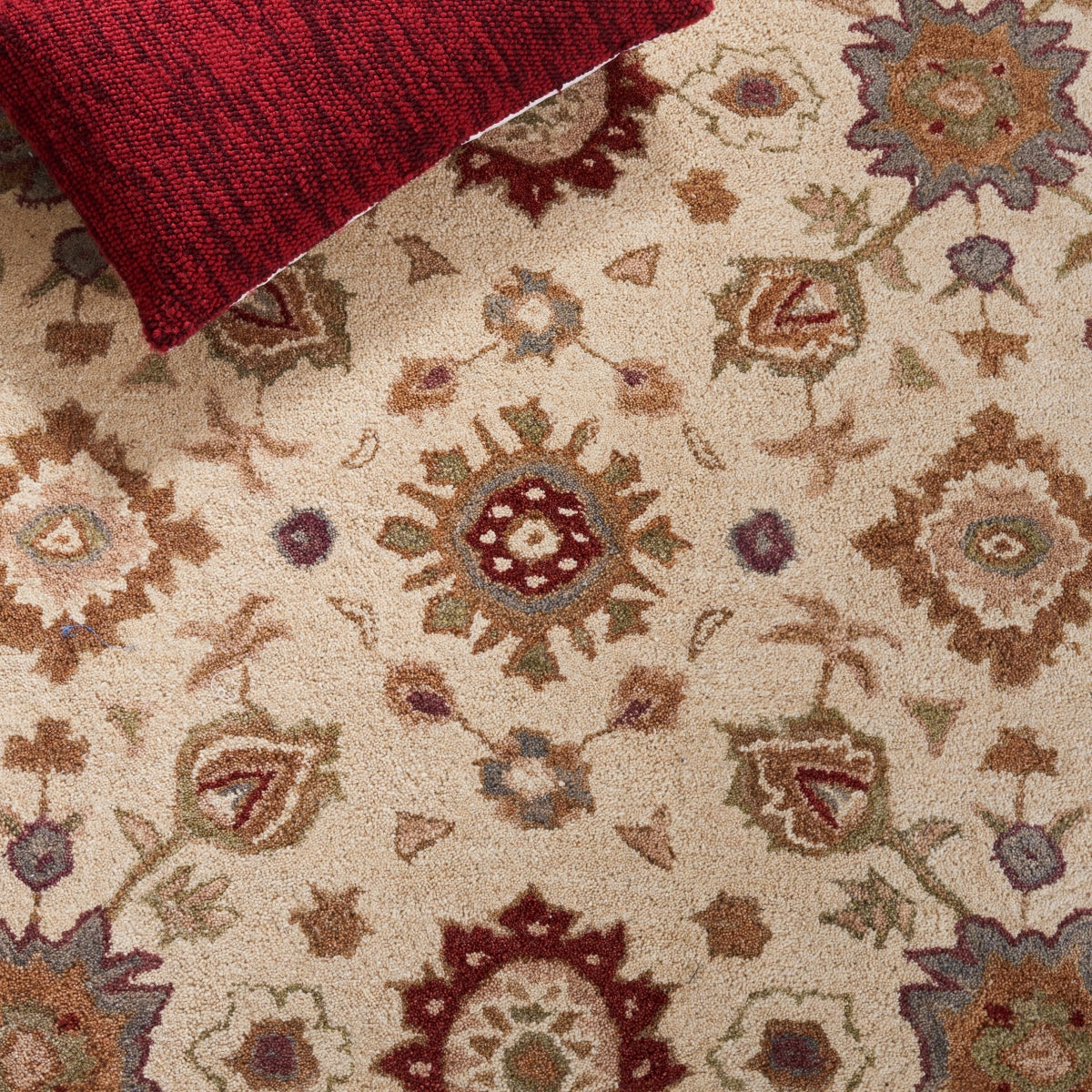 IVORY / BROWN