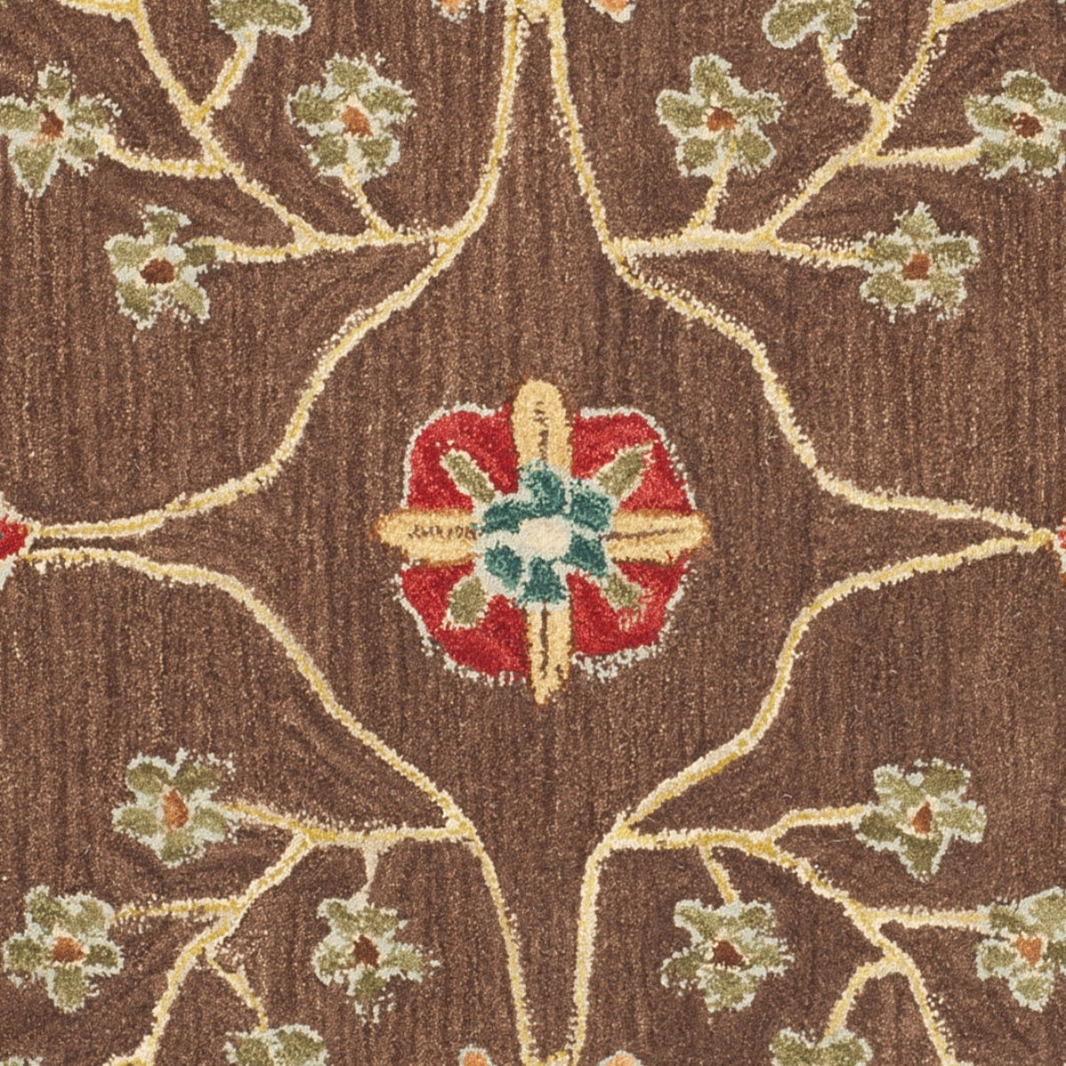 BROWN / GOLD