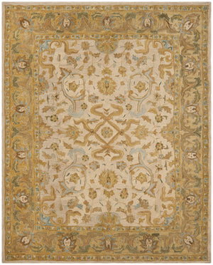 Safavieh Ganya 576 Rug, AN576