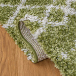 Safavieh Arizona Shag 741 Rug, Green, ASG741 - Green / Ivory