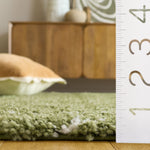 GREEN / IVORY