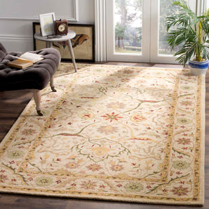 Safavieh Antiquity 14 Rug, AT14