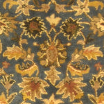 BLUE / GOLD
