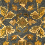 BLUE / GOLD