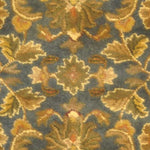 BLUE / GOLD