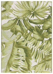 IVORY / GREEN