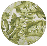 IVORY / GREEN