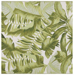 IVORY / GREEN