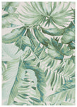 GREEN / TEAL