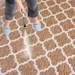 BEACH HOUSE 266 – BROWN / IVORY