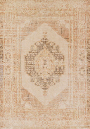 Momeni Chandler Rug Collection - CHN-9