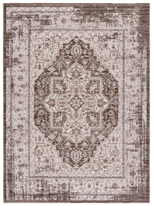 Safavieh Chamber 202 Rug, CHM202