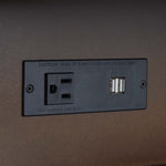 Safavieh Scully 2 Drawer 1 Shelf Chest W/ Usb, CHS6417 - Medium Oak / Gold