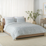 BLUE MIST / SAGE GREEN