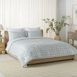 BLUE MIST / SAGE GREEN